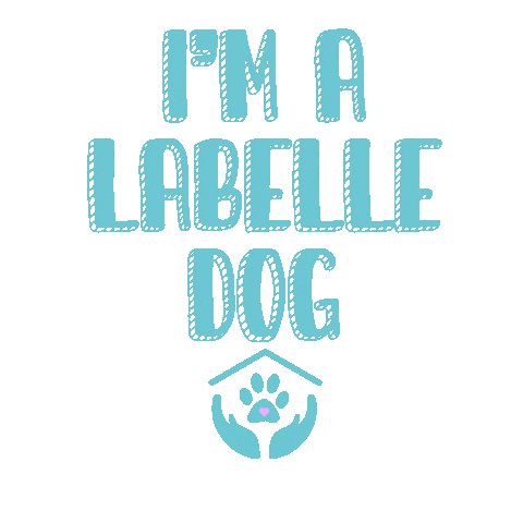 LabelleFoundation Sticker