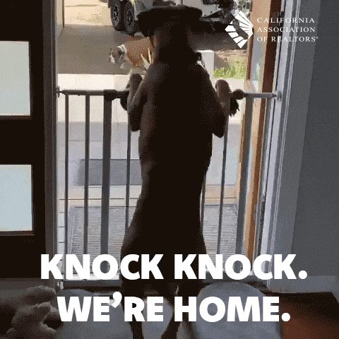 Excited Dog GIF by CALIFORNIA ASSOCIATION OF REALTORS®