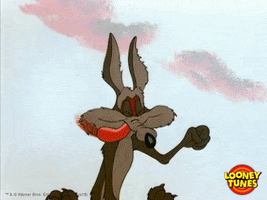 wile e coyote yes GIF by Looney Tunes