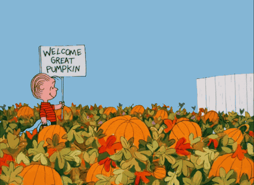 Great Pumpkin Halloween GIF - Find & Share on GIPHY