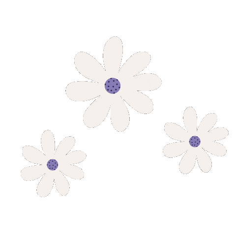 Flowers Daisies Sticker