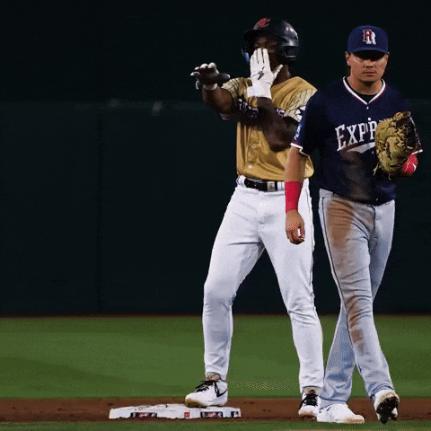 Celebration Baseball GIF by Sacramento River Cats