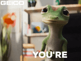 Sure Thing Youre Welcome GIF by GEICO