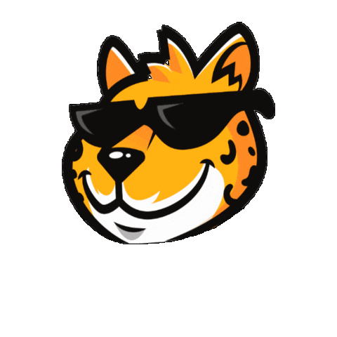 Padbol official Sticker