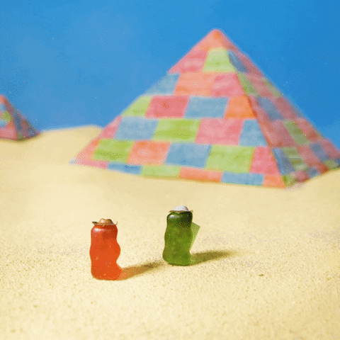 Explore Gummy Bear GIF by HARIBO