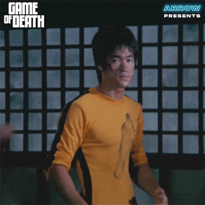 Martial Arts Wtf GIF by Arrow Video