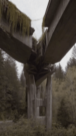 Moldero GIF