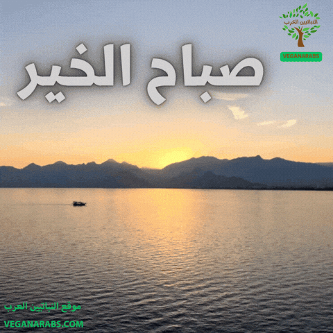 Good Morning GIF by VeganArabs