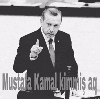 Reis GIF