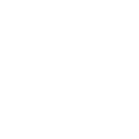 alpix.ro - FOTO/VIDEO/DESIGN Sticker