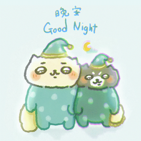 Sleep Together Good Night GIF