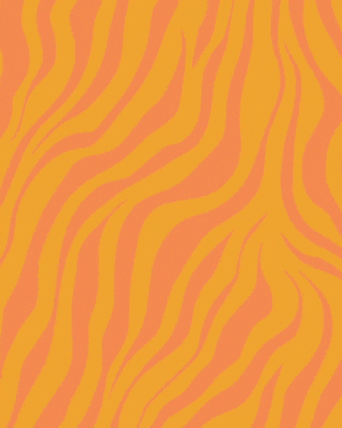 Safari MK GIF