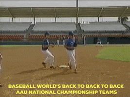 Baseball GIF