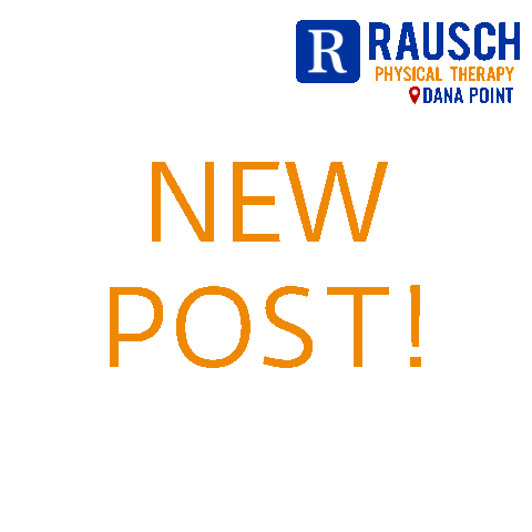 Rausch Physical Therapy - Dana Point Sticker