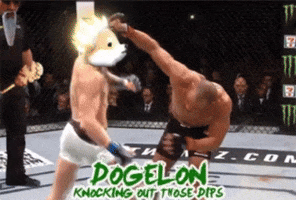 Knock Out Fight GIF by Dogelon Mars