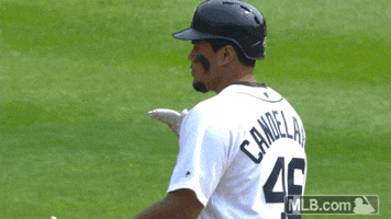 Sport Reaction GIF by Detroit Tigers