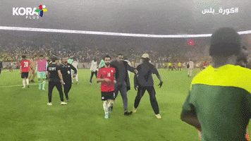 World Cup Egypt GIF by Storyful