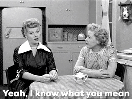 TV gif. In black and white, Lucille Ball as Lucy and Vivian Vance as Ethel on I Love Lucy sit at a kitchen table. Lucy sighs and says, “Yeah, I know what you mean.”