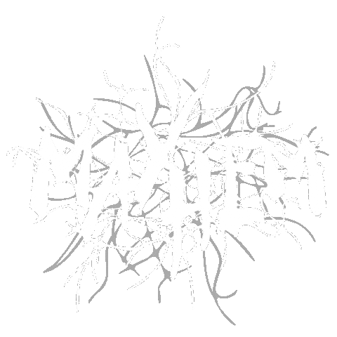 Mayhem Sticker by Lady Gaga