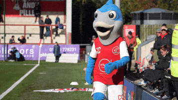 Fleetwood Town GIF by Fleetwood Town Football Club
