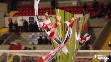 Wind Champions GIF by Cliftonville Football Club