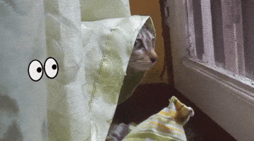 Nepalicats Peaking Sus Suspicious What Hide GIF