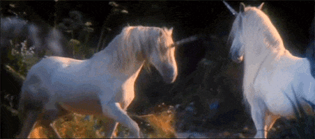 horse unicorn GIF