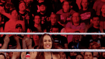 Royal Rumble Yes GIF by E!