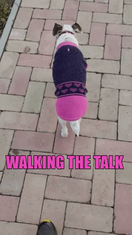 Walking the Talk content media
