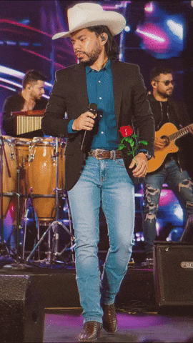 Country Music Musica GIF by Dalvan Ferraz