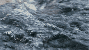 wonderfulwildwomen GIF