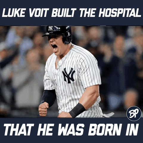 Voit Aaron Judge GIF by Bronx Pinstripes