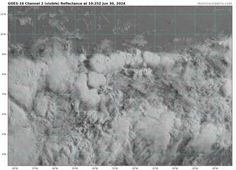 giphy.gif?cid=9b38fe91w8exftqiz5bh3p5wlr