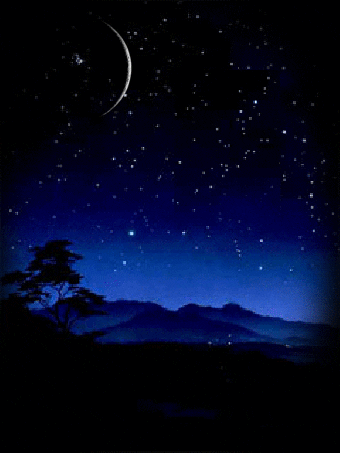 Noche GIF