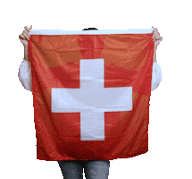 Switzerland Suisse Sticker by Francine Jordi