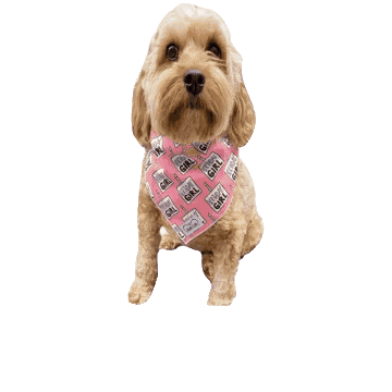 Let's Pawty Sticker