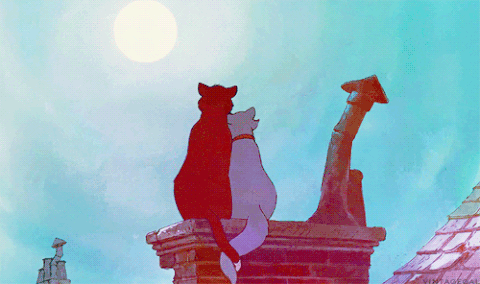 aristocats