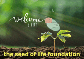 Food Learn GIF by The Seed of Life Foundation