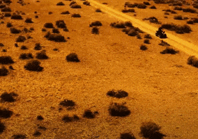 Motorcycle Sand GIF by Better Noise Music