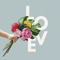 I Love You Bouquet GIF by Kelley Bren Burke
