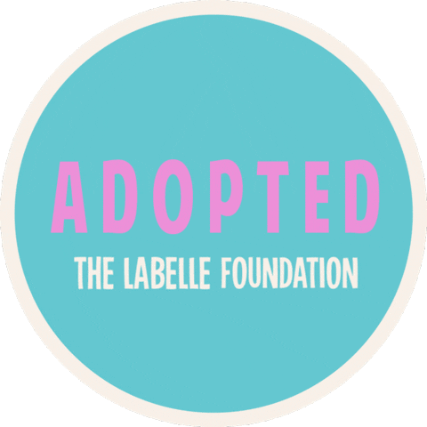 Foster Sticker by Pollen