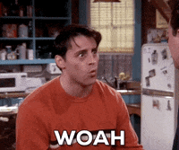 Friends-tv-show-s GIFs - Get the best GIF on GIPHY