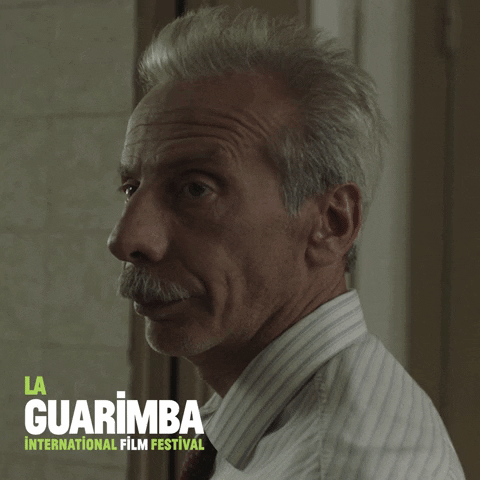 Whats Up Yes GIF by La Guarimba Film Festival