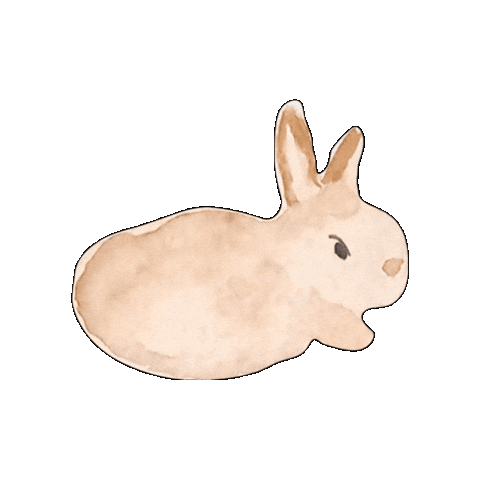 Bunny Rabbit Sticker by elicoelhodesign