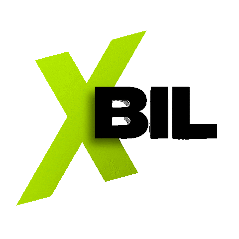 xbilsuomi Sticker
