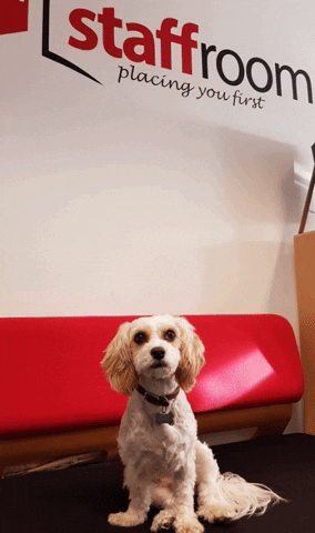 Staffroom Education GIF