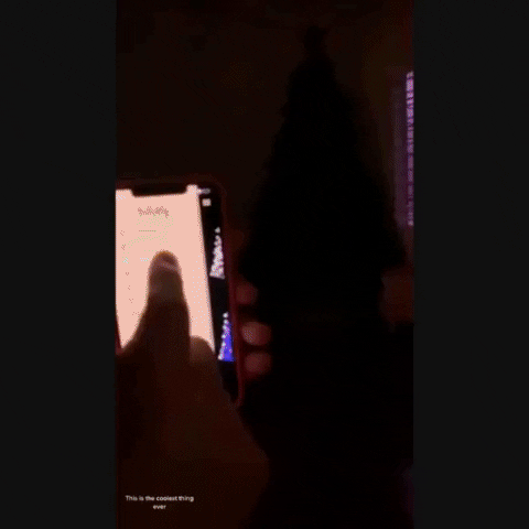 Animated GIF