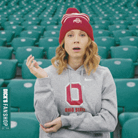 College Football Touchdown GIF by ****'S Sporting Goods'S Sporting Goods