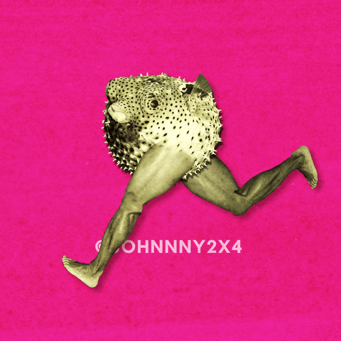 Gym What GIF by Johnny2x4