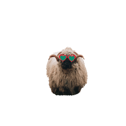 Tierpark Sababurg Sticker